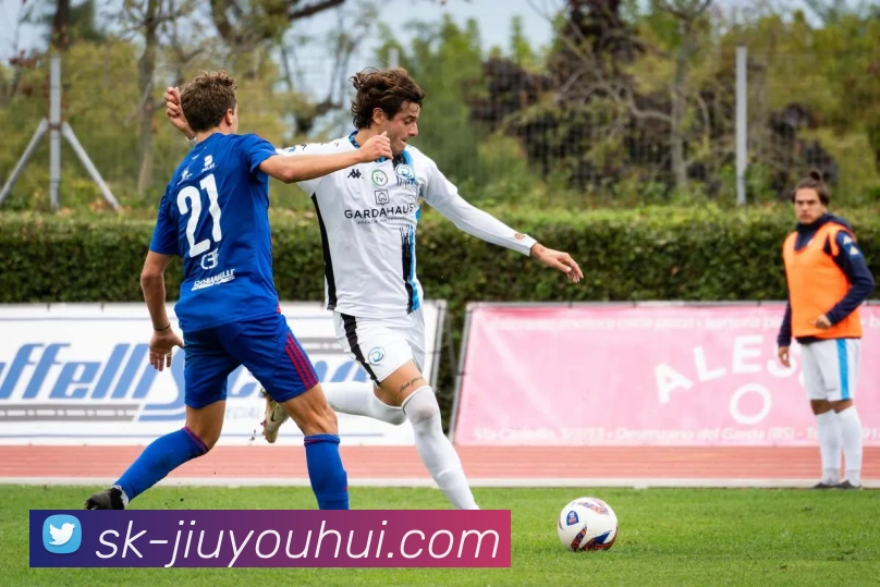 J9九游会官网平台生态图